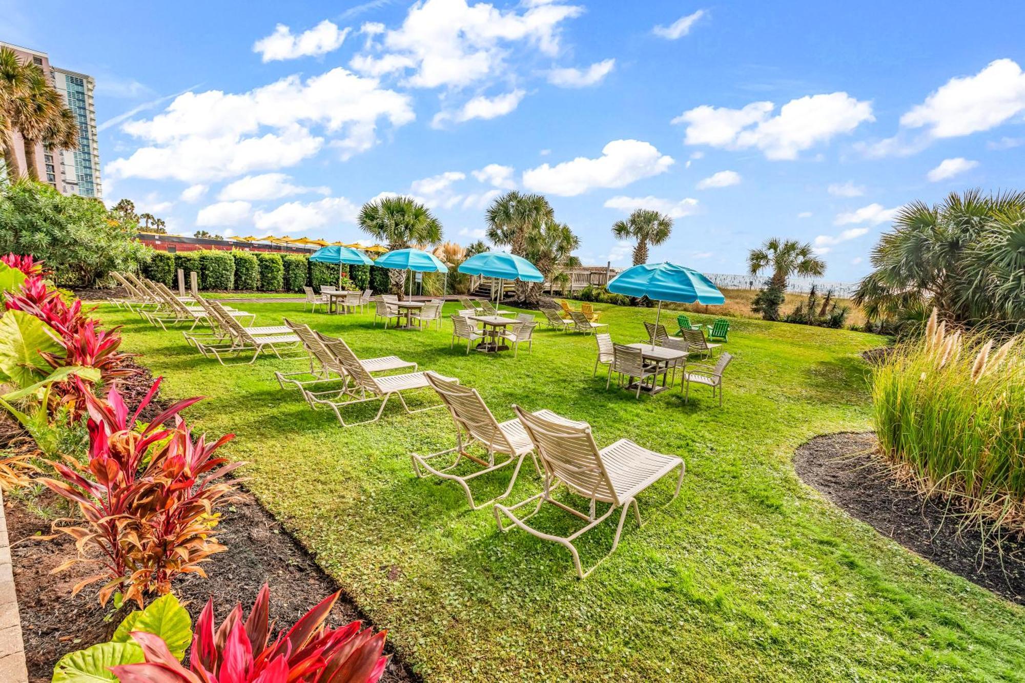 Ocean View Double Suite! Sleeps 4 Meridian Plaza 705 Миртъл Бийч Екстериор снимка